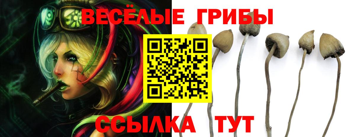 Псилоцибиновые грибы Magic Shrooms Качканар